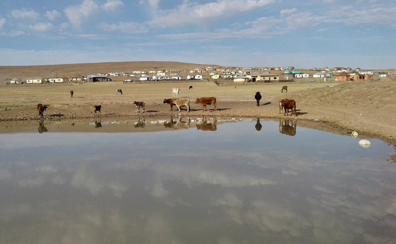 villagers-without-drinking-water-blame-government-not-the-drought